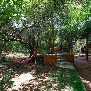 The Thick Forest Lodge